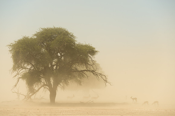 53