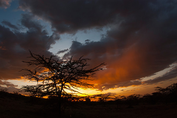 African Sunset 3
