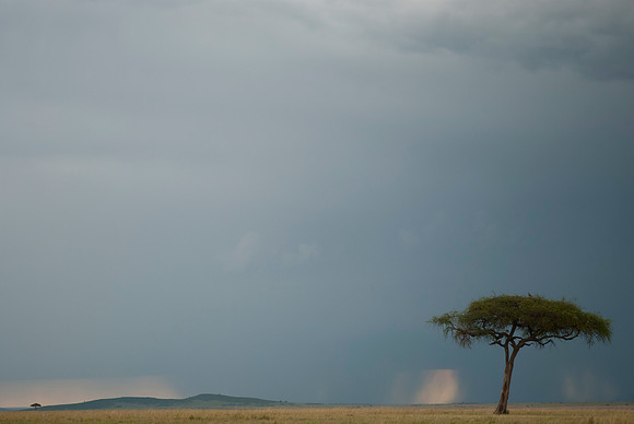 Distant Storm 2
