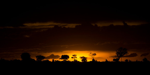 African Sunset