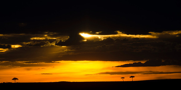 African Sunset 2