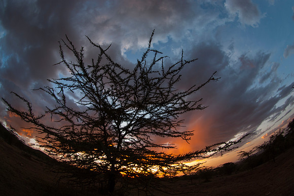 African Sunset 3