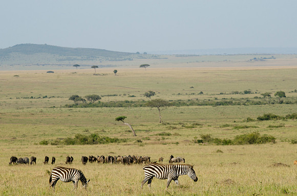 Landscape of the Mara Plain