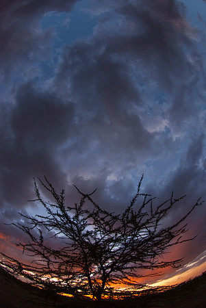 African Sunset 4